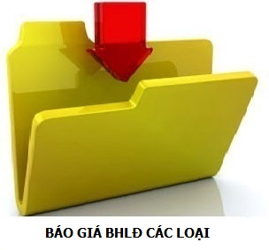 BÁO GIÁ BHLĐ CÁC LOẠI
