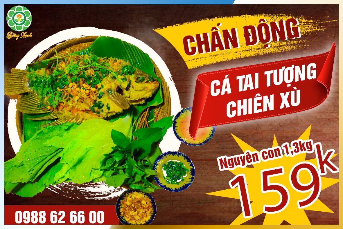 💥💥 CHẤN ĐỘNG… NGUYÊN CON CÁ TAI TƯỢNG CHIÊN XÙ 1,3KG CHỈ #159xu