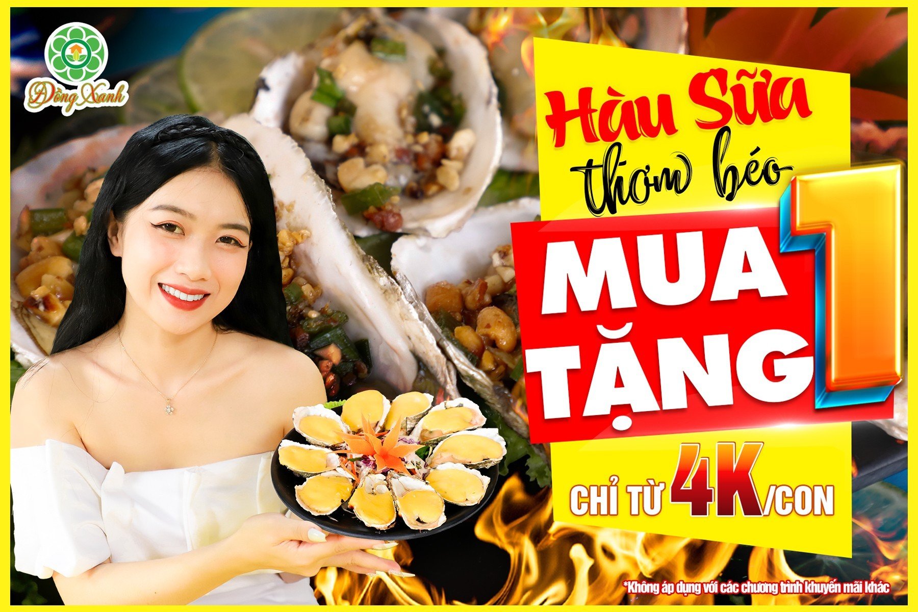 💥 MUA 1TẶNG 1 💥 – HÀU SỮA THƠM BÉO, CHỐT KÈO TƯNG BỪNG!