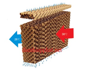 nhiệt độ giảm từ 5 - 10 độ C khi qua tấm làm mát 