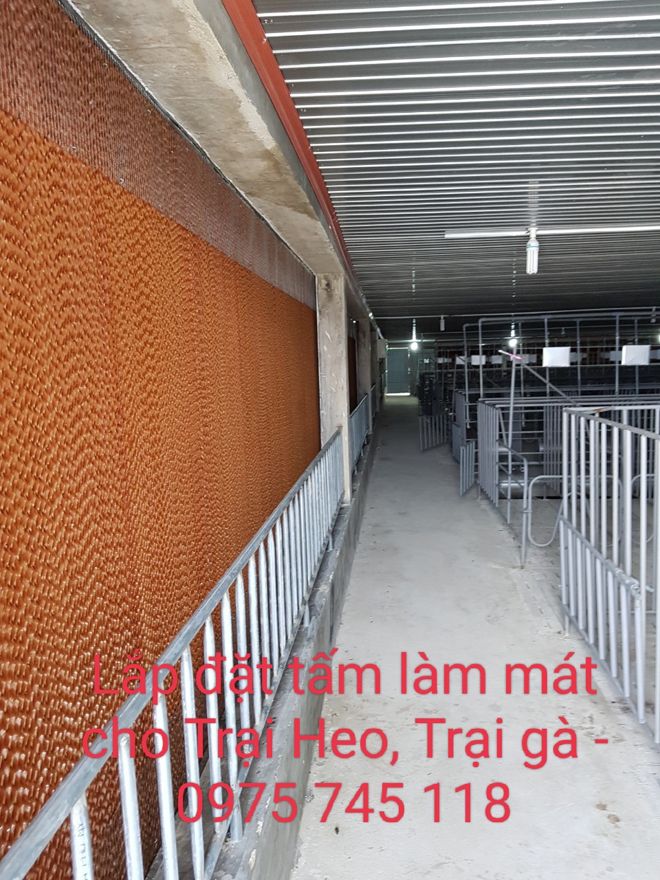 lắp đặt giấy làm mát cho trại heo