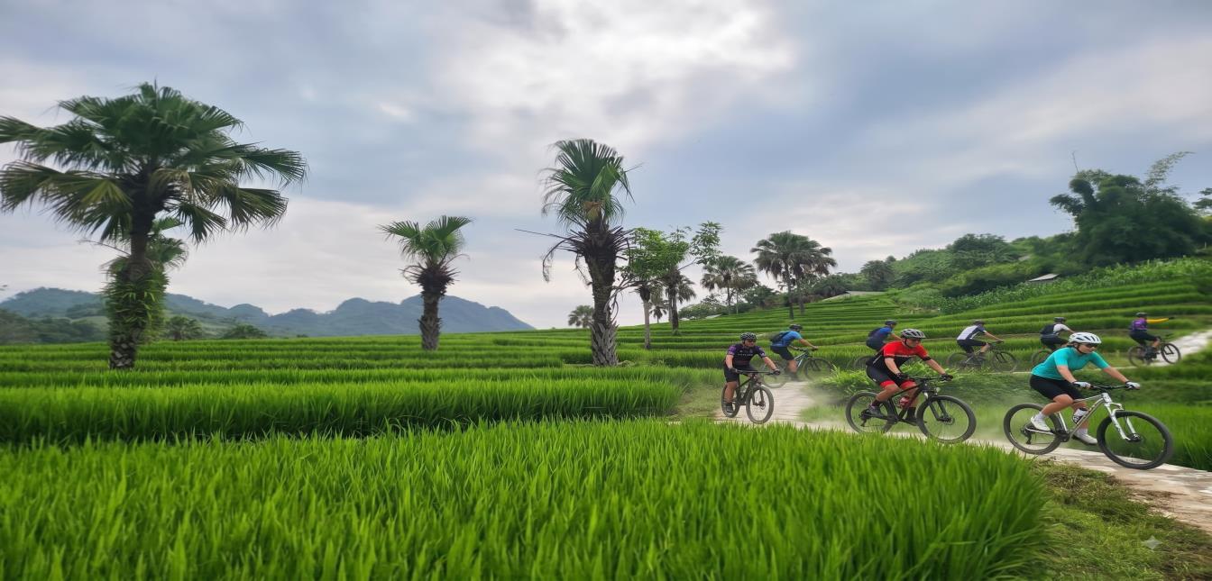 12 DAY NORTHERN VIETNAM CYCLING TOURS | MU CANG CHAI - HA GIANG LOOP ADVENTURE