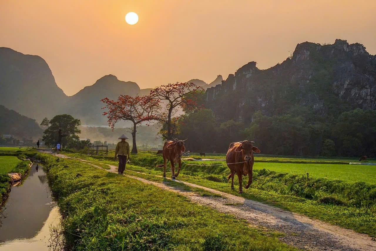 7 DAY CYCLING TOURS IN NORTHERN VIETNAM | REMOTED BIKE ADVENTURE TOURS