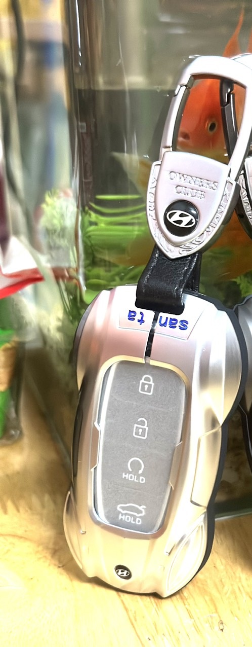 HYUNDAI Tổng Hợp Ốp Khóa Accent Kona Santafe Elantra Đẹp Độc Lạ