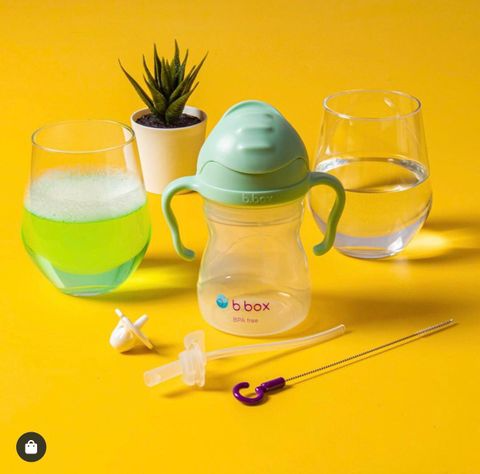 Bộ Ống Hút Thay Thế Và Dụng Cụ Vệ Sinh Bình Nước 360 Độ Cho Bé Tiện Dụng - B.Box Sippy Cup Replacement Straw Disney Princess/Mickey/Woody