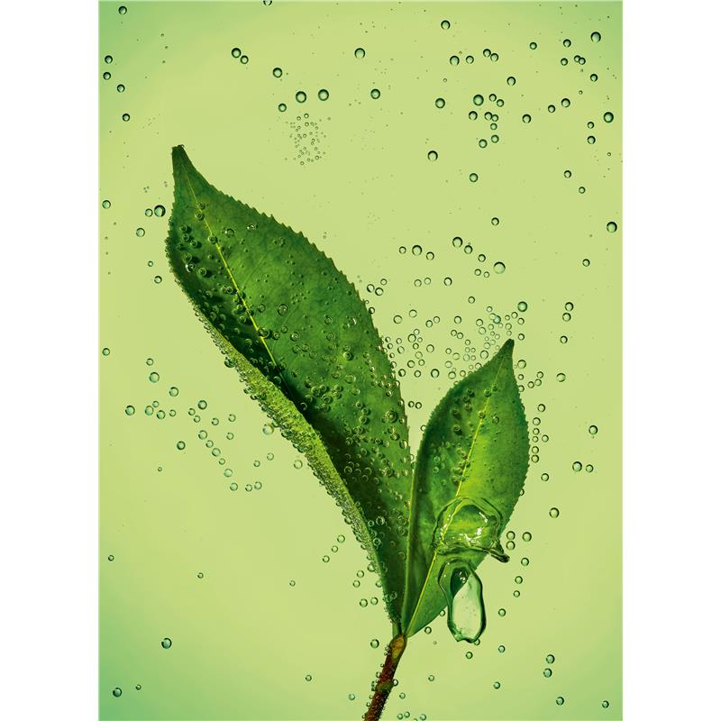 Serum Dưỡng Tóc Huyết Thanh Làm Dịu Chống Xơ Rối Garnier Fructis Sleek & Shine 150ml - Garnier Fructis Anti-Frizz Soothing Serum Sleek & Shine 150mL