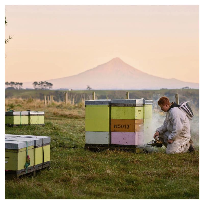 Mật Ong Manuka Úc Cao Cấp Tăng Đề Kháng Miễn Dịch 100% Thô 250g/500g