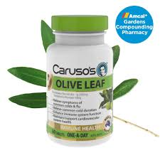 Carusos One a Day Olive Leaf 60 Viên