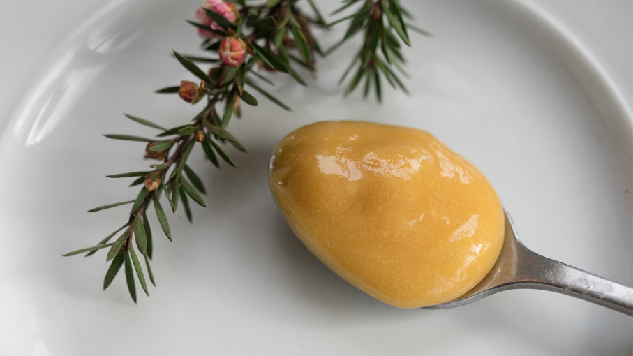 Mật ong - Comvita UMF 20+ Manuka Honey 250g (Not For Sale In WA)