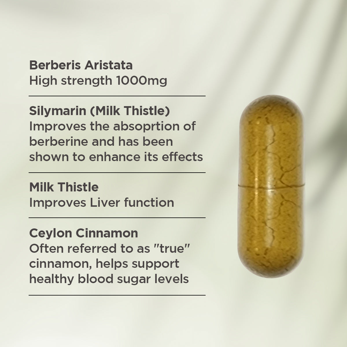 Viên Uống Hỗ Trợ Quá Trình Trao Đổi Chất & Hỗ Trợ Hệ Thống Miễn Dịch, Tiêu Hóa - Vitaceuticals Berberine+