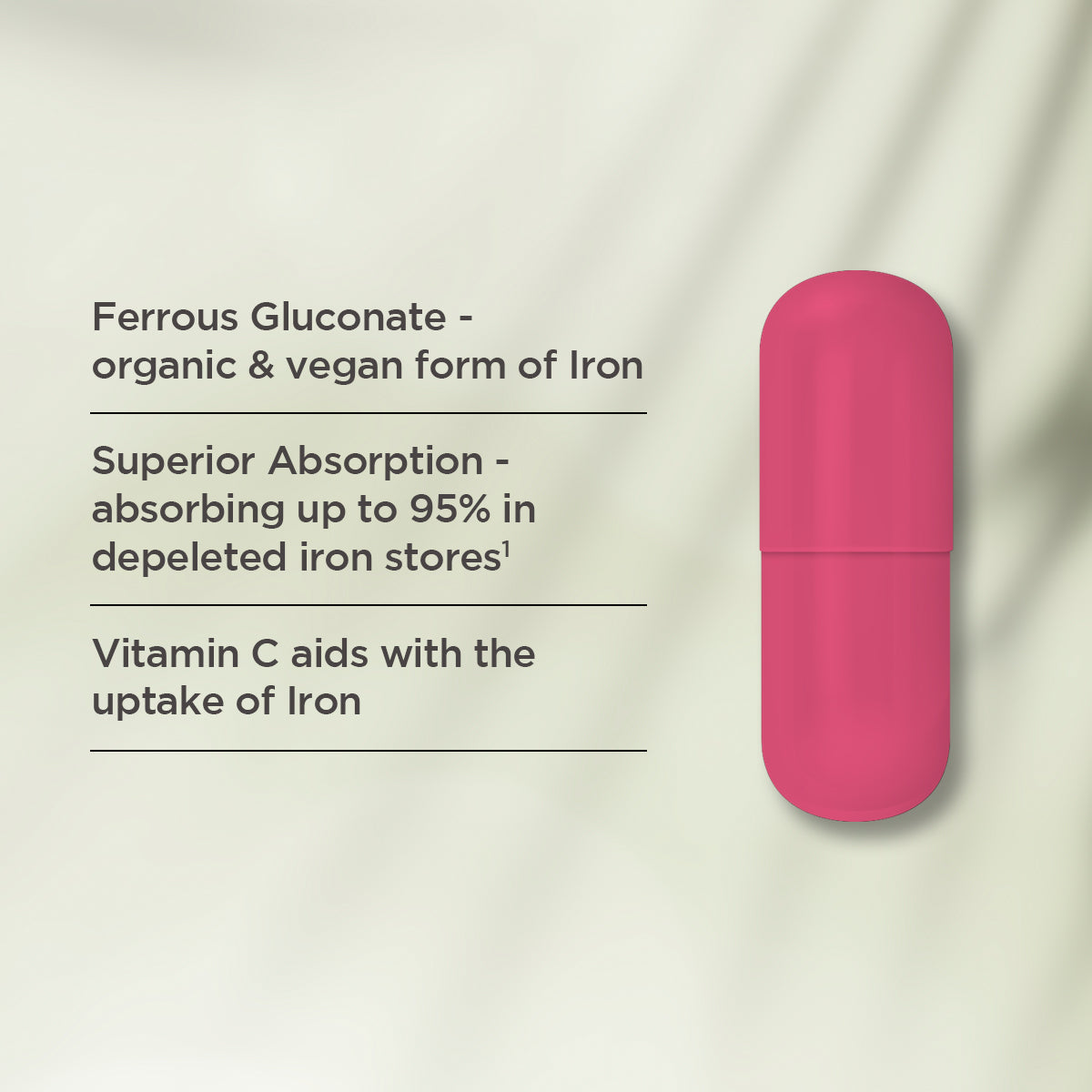 Viên Uống Bổ Sung Sắt Ferrous +C 30 Viên - Vitaceuticals Ferrous +C Iron Supplement