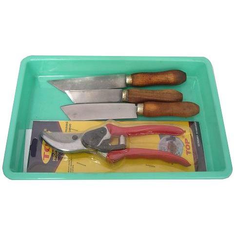 Bộ giâm ghép chiết cành