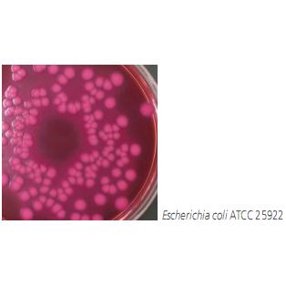 Violet red bile agar