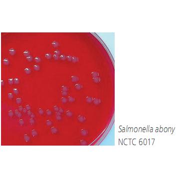 Brillirant green agar