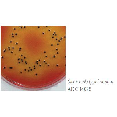 Salmonlella shigella agar