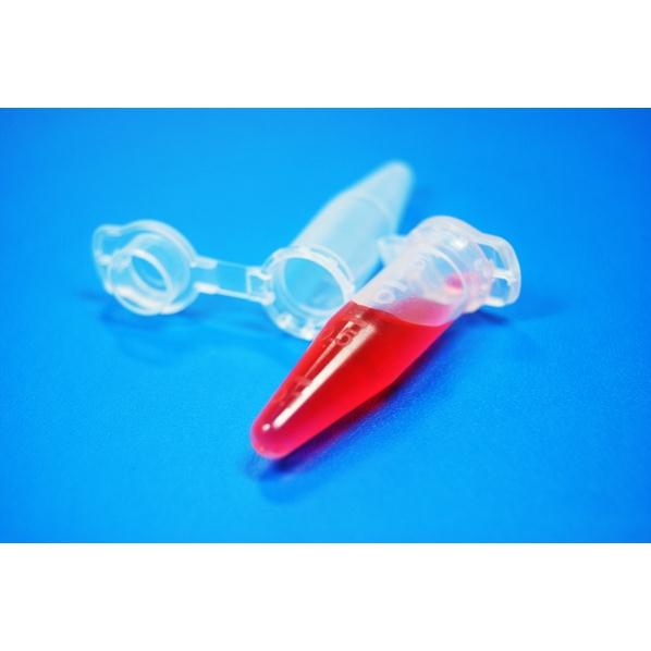 Ống eppendort 2ml, 1.5ml, 0.5ml, 0.2ml, 1000c/túi