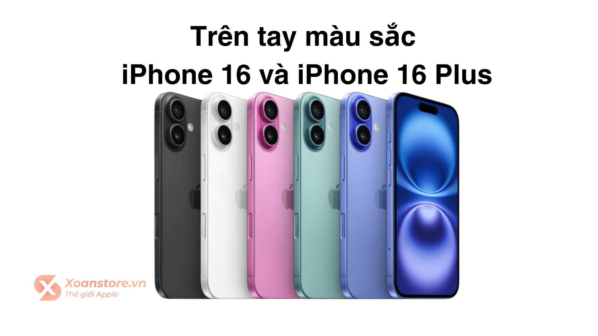 Trên tay 5 màu sắc của iPhone 16 và 16 Plus, giá rẻ, bạn thích màu nào ?