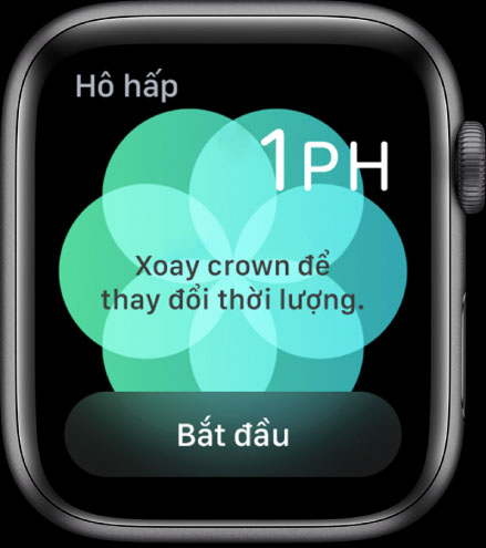Sử dụng Apple Watch để hô hấp một cách chú tâm
