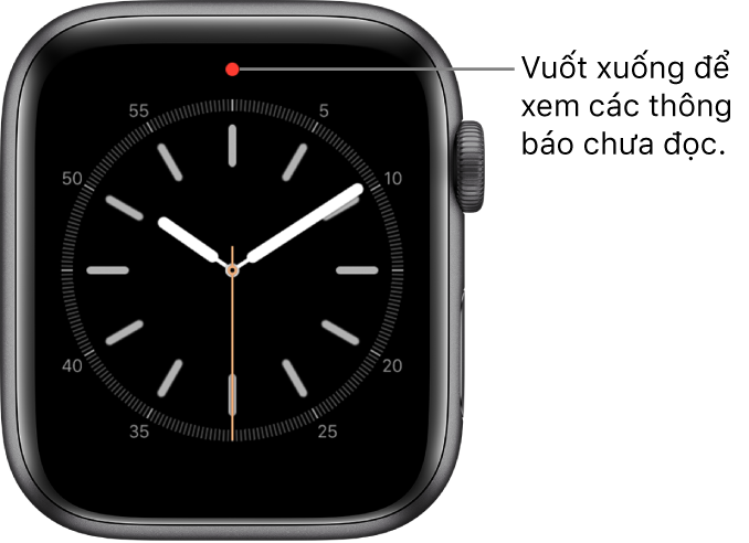 Hướng dẫn cách xem và phản hồi thông báo trên Apple Watch