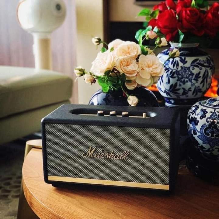 Loa Marshall Stanmore 2