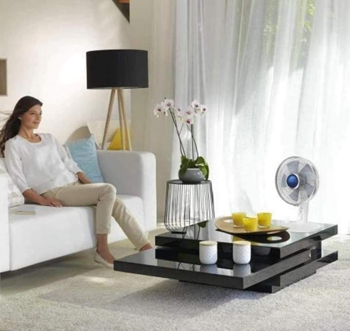 Quạt bàn ROWENTA VU270