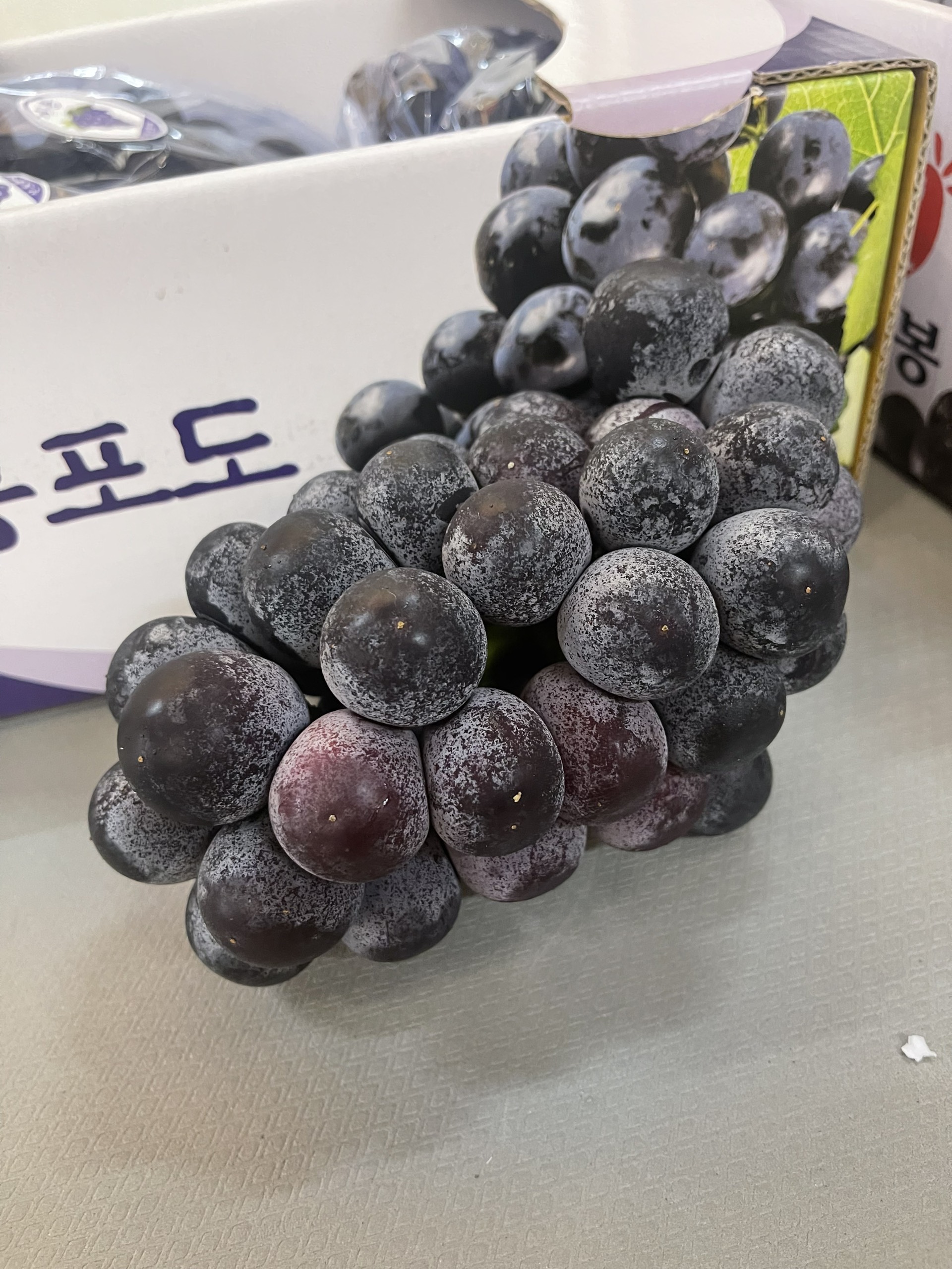 Nho Mẫu Đơn Đen: Đặc Điểm, Lợi Ích và Cách Sử Dụng