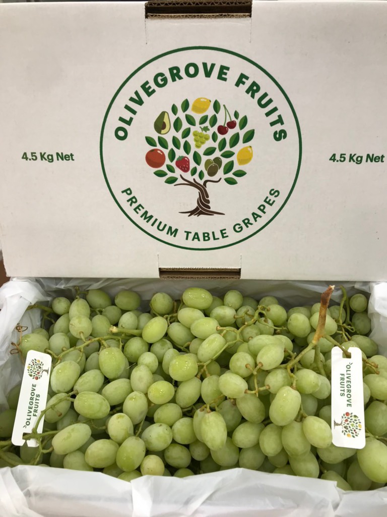 Nho xanh Úc Sweet Globe (Olive)