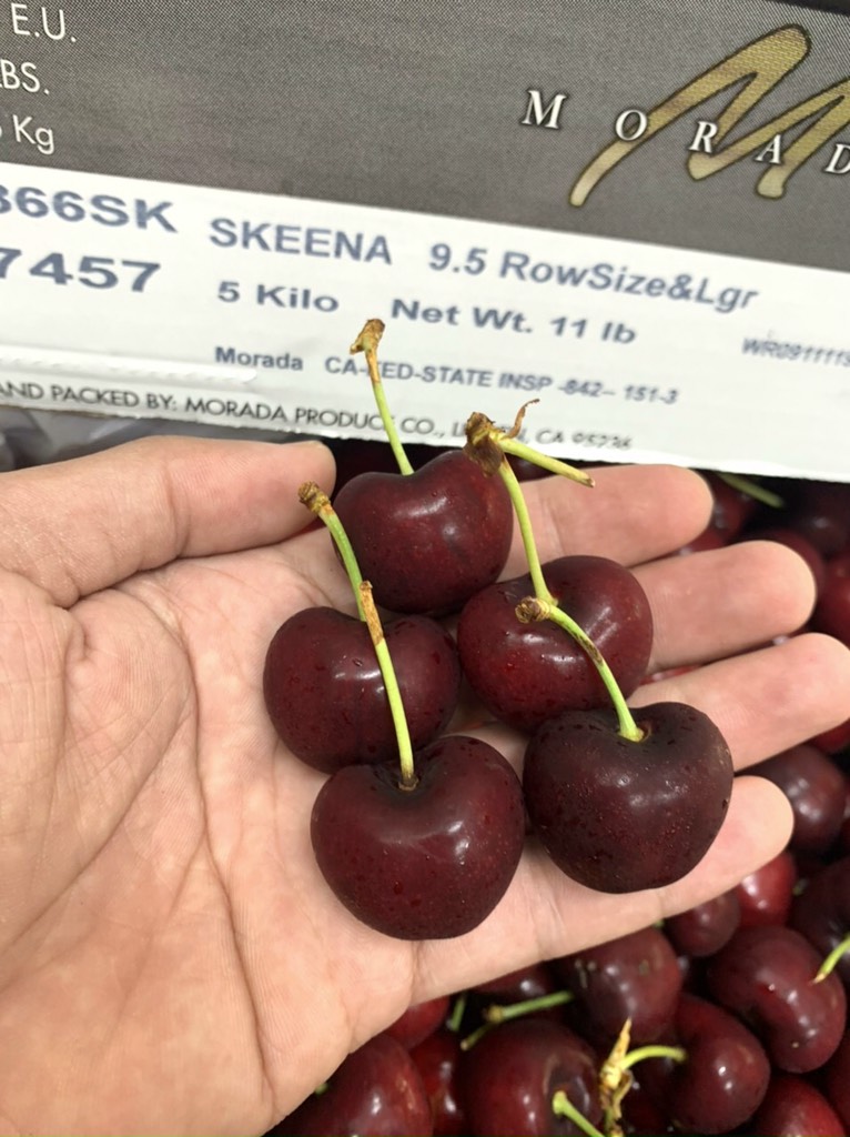 Cherry Mỹ Morada size 9