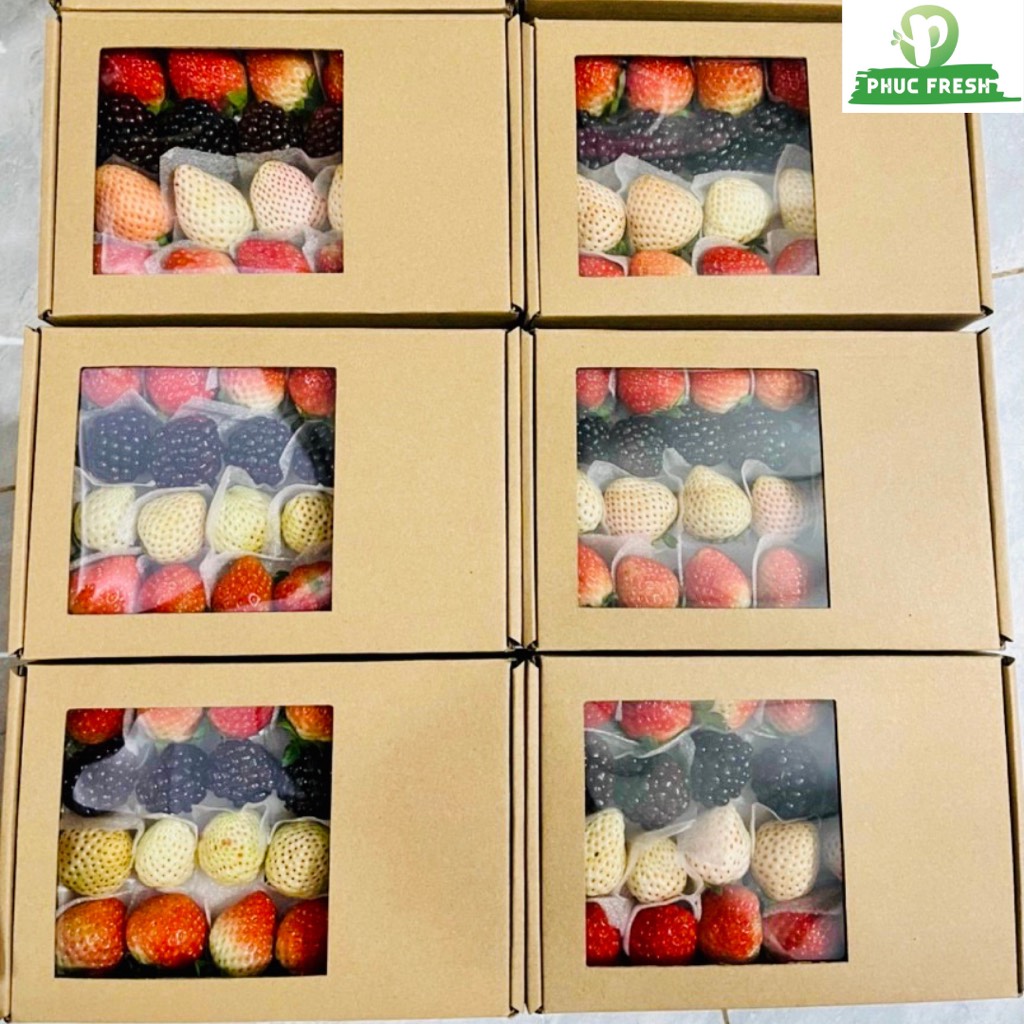 Set Tươi Trẻ Mix B (Dâu bạch tuyết, Nhật, Mons và Phúc bồn tử