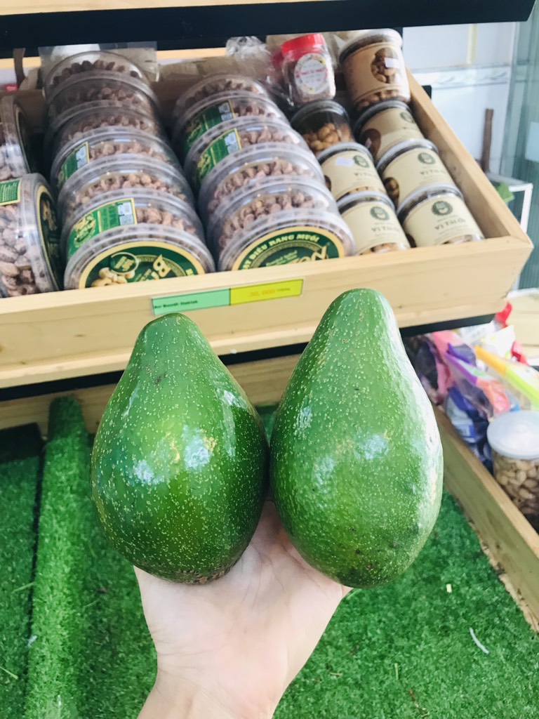 Bơ sáp canh tác an toàn