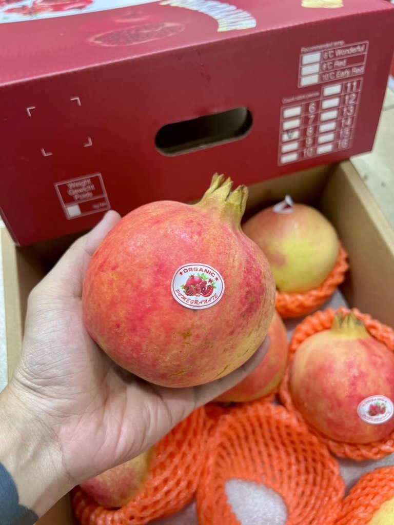 Lựu (Pomegrante) Trung xuất Thái size 8-9-10