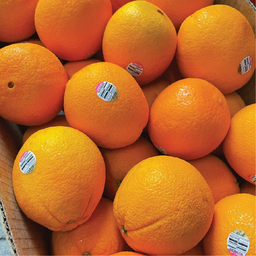 CAM CARA RUỘT ĐỎ