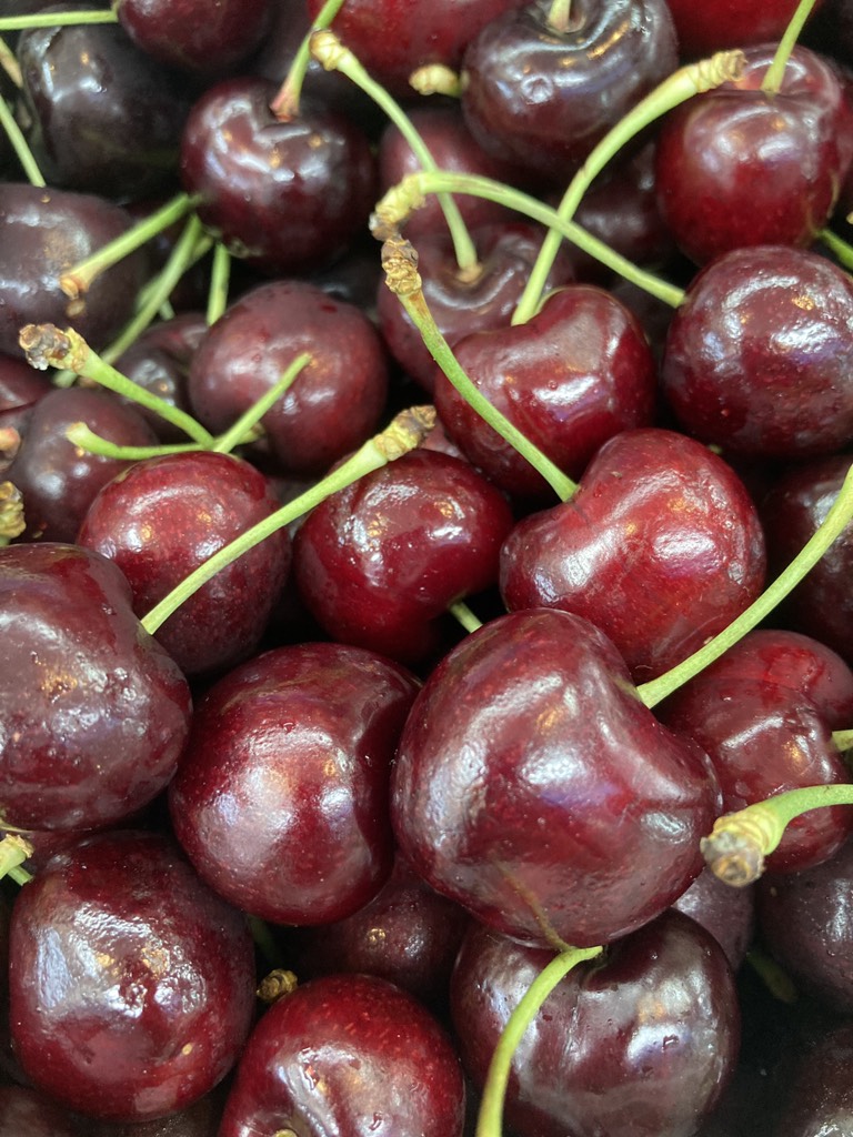 Cherry Sebires s28-30