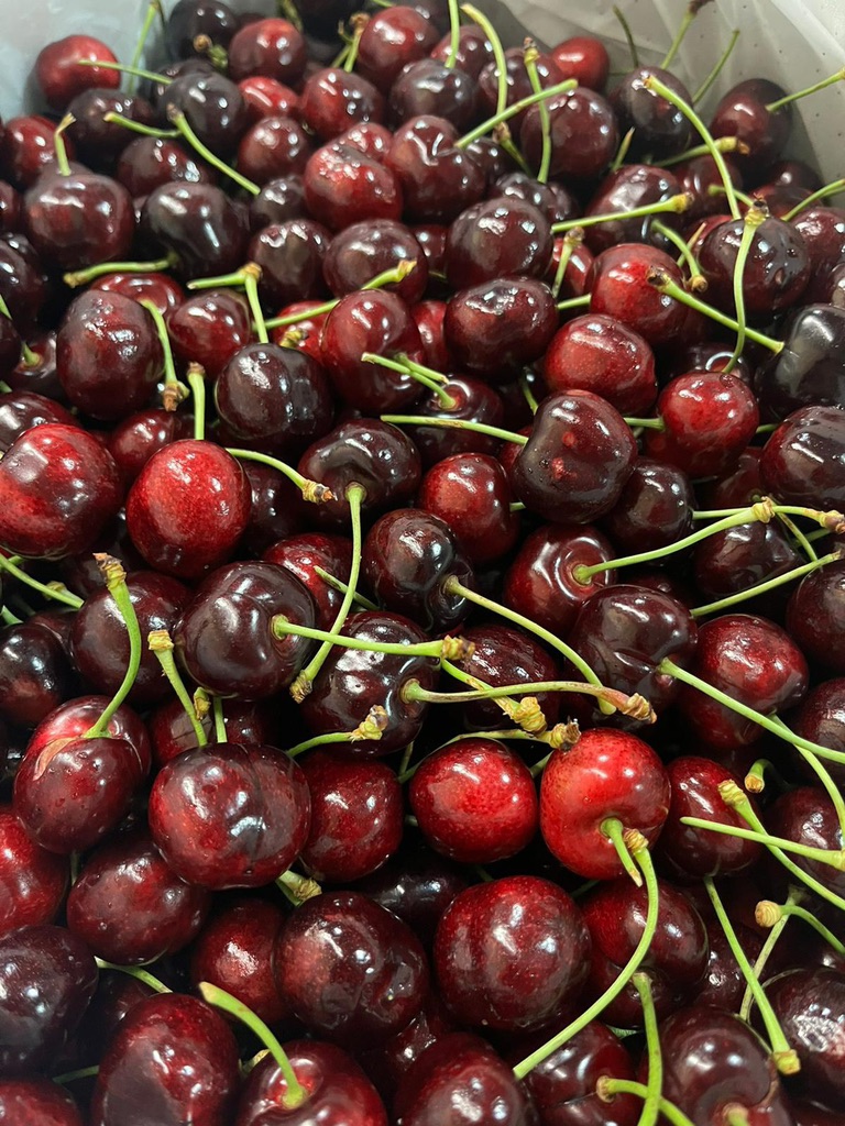 Cherry Mỹ Sequoia (cali)