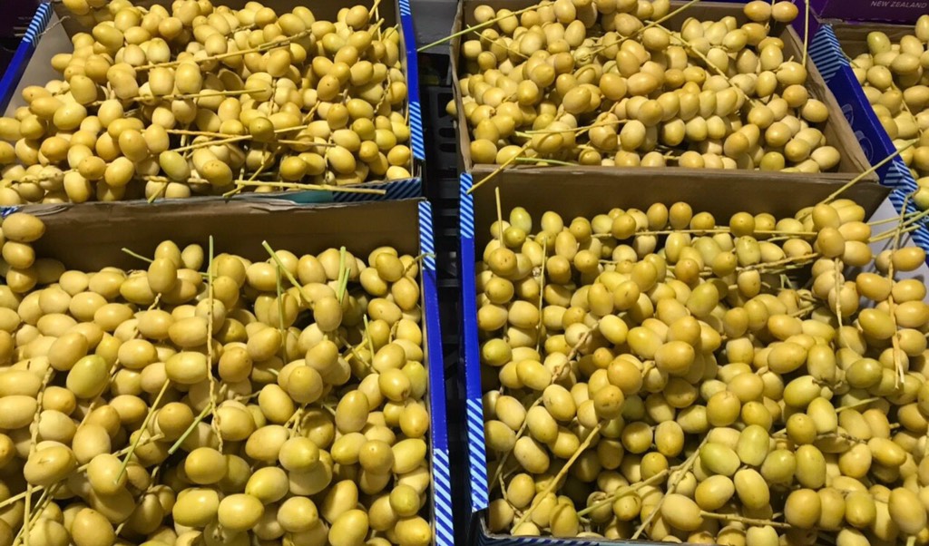 Chà là vàng tươi