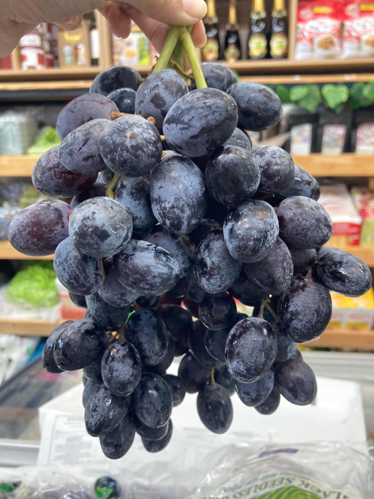 Nho đen Mỹ Pretty Lady/Midnight beauty