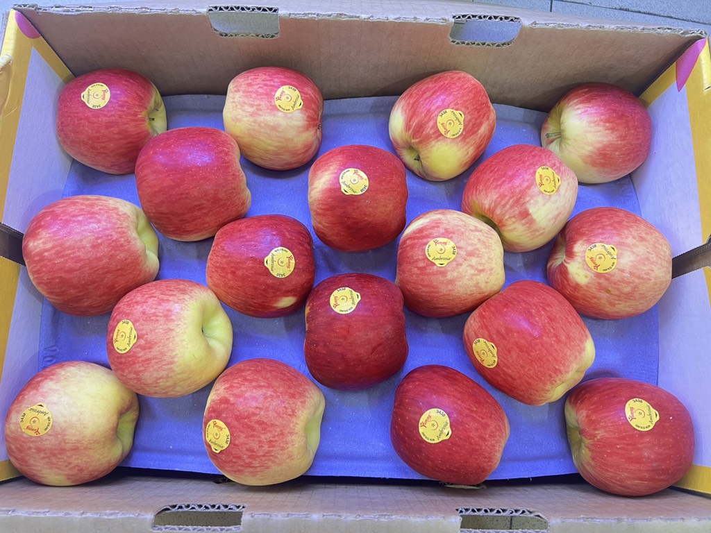 Táo Ambrosia Mỹ size 28