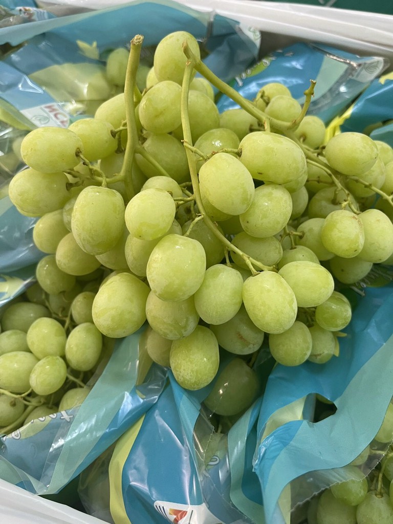 Nho xanh Úc sunvalley