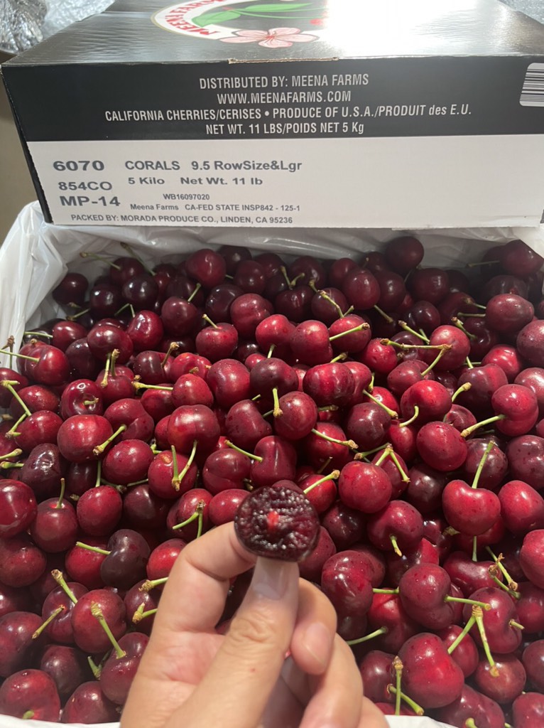 Cherry Mỹ Meena size 9