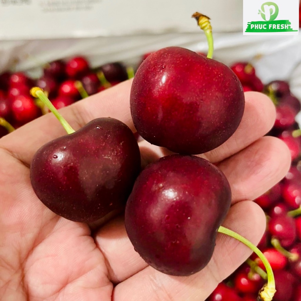 Cherry Mỹ Meena 8.5