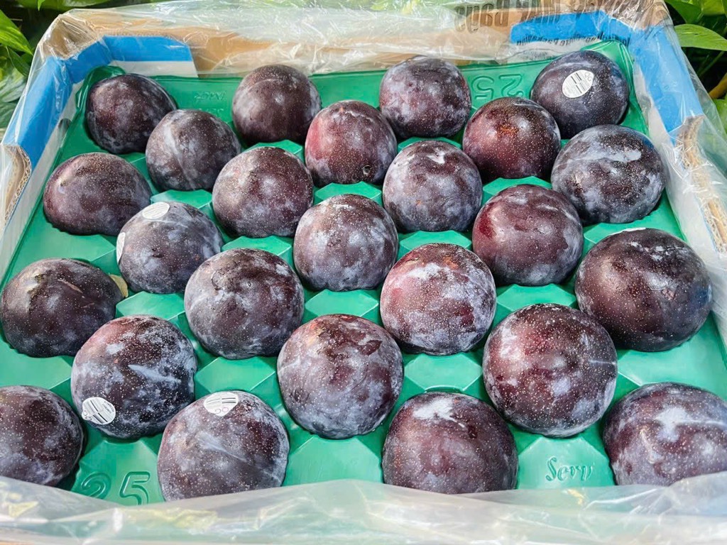 Mận Úc (Mận ruột đỏ)