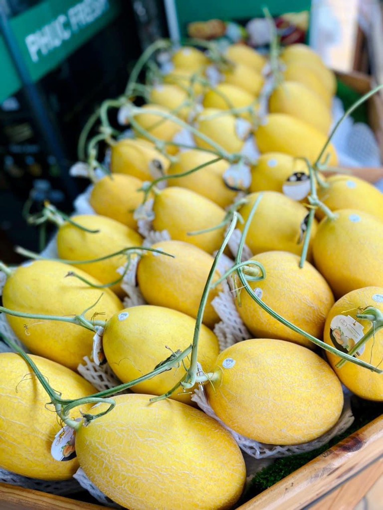 Dưa lưới hoàng kim huỳnh long globalgap (Bình An Farm)