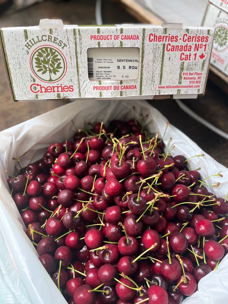 Cherry Canada HillCrest Centenial