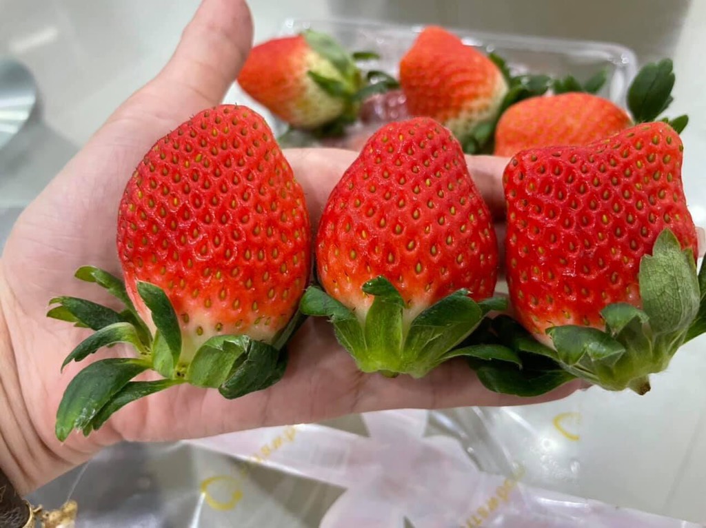 Dâu Hàn hộp 250g