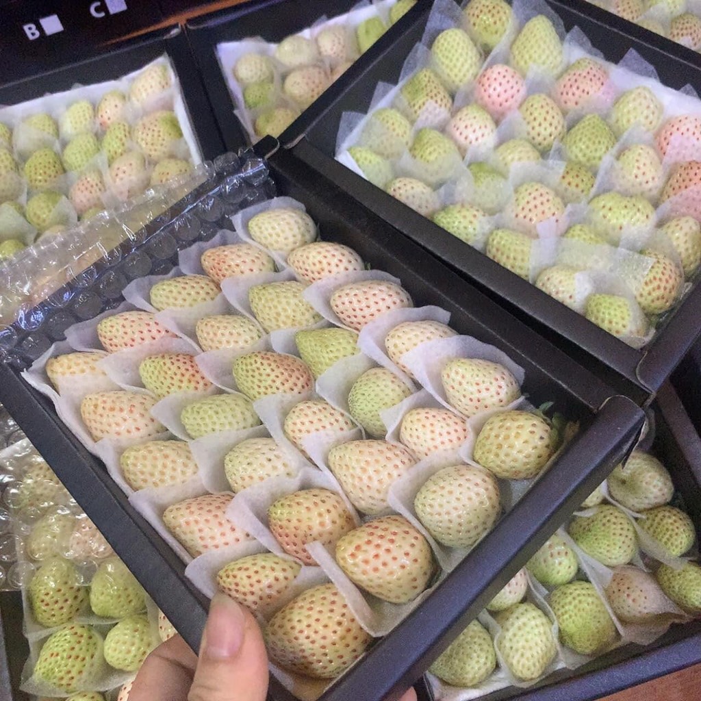 Dâu Bạch Tuyết Đà Lạt sz 20 (hộp 250gr)