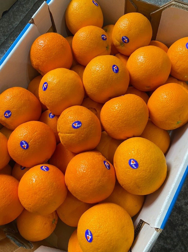 Cam Vàng Úc Victor