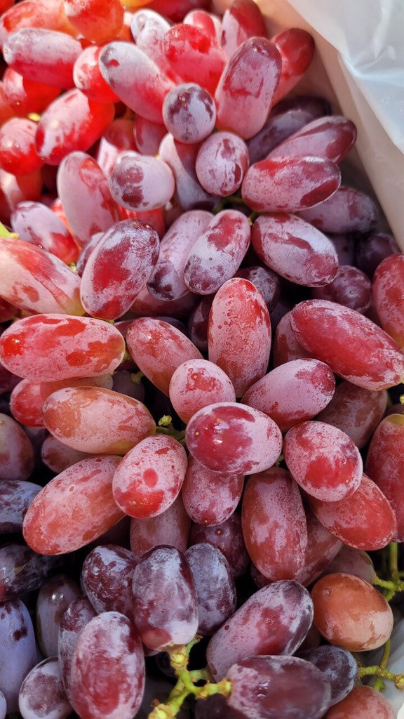 Nho đỏ Úc không hạt hàng air