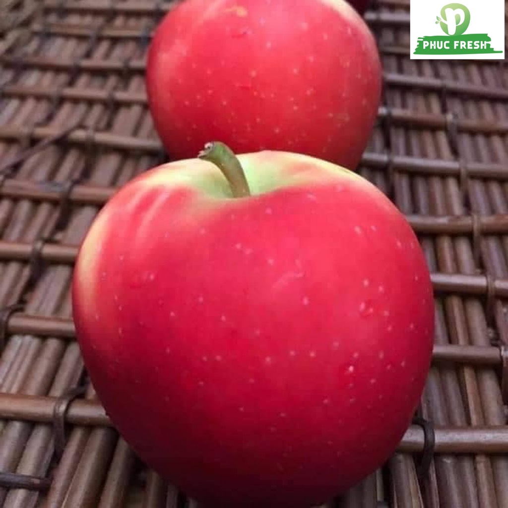 Táo ống Rockit sz lớn/ (Thùng 12 ống)