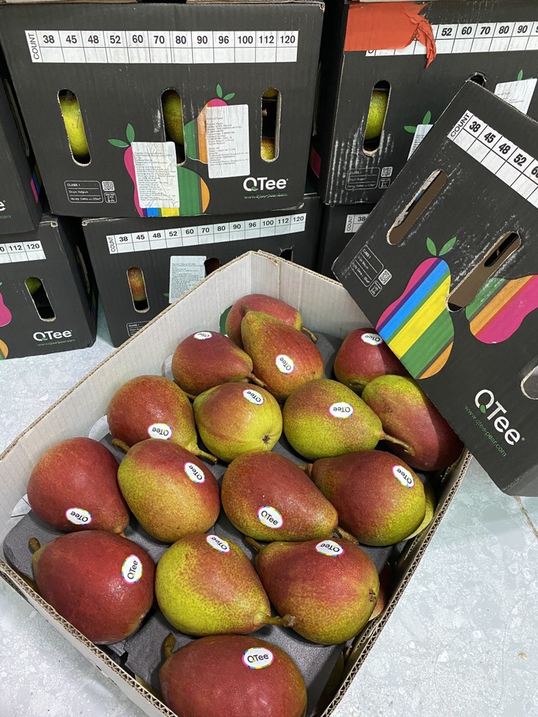 Lê Bỉ đỏ size 45