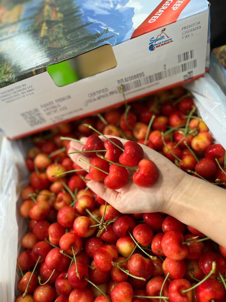 Cherry vàng Mỹ stemit size 9.5